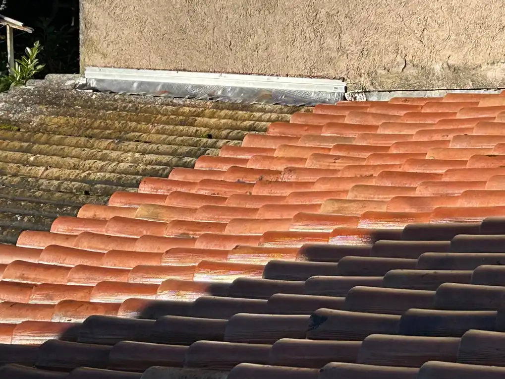 Pan de toiture dont une partie a été nettoyée, l'autre encore encrassée