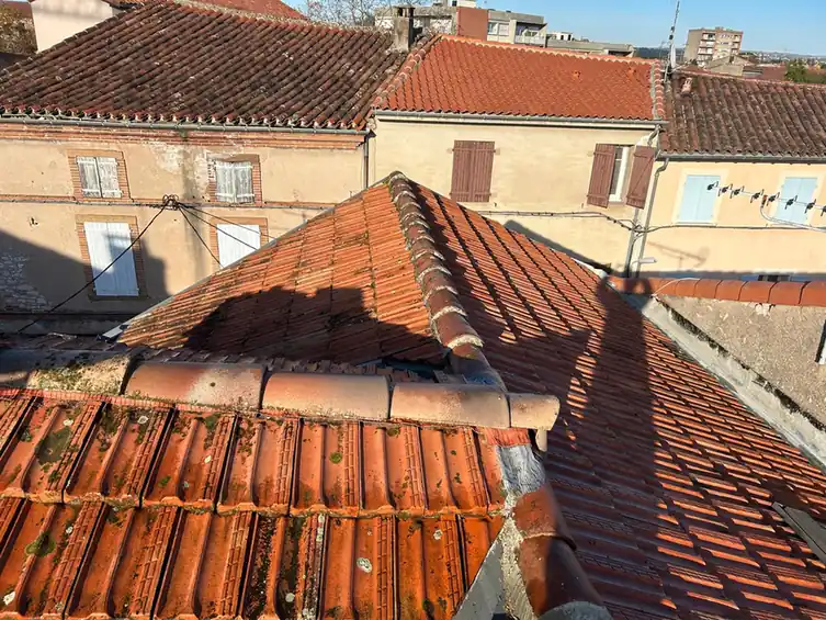 Toitures serrées d'un centre ancien et leurs faîtages