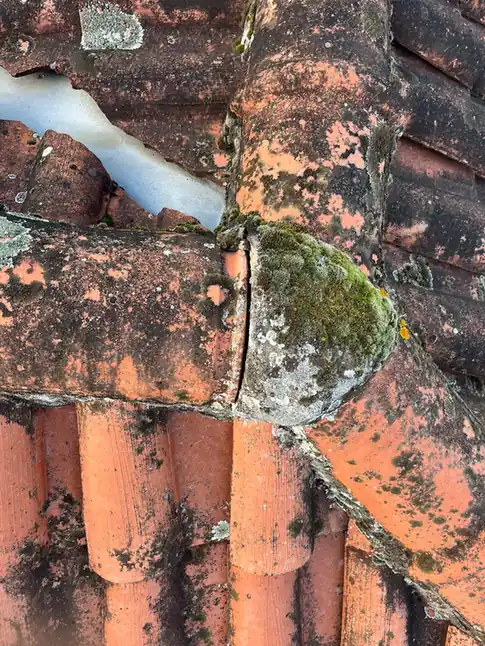 Tuile cassée et mousse en haut d'un rang de couverture