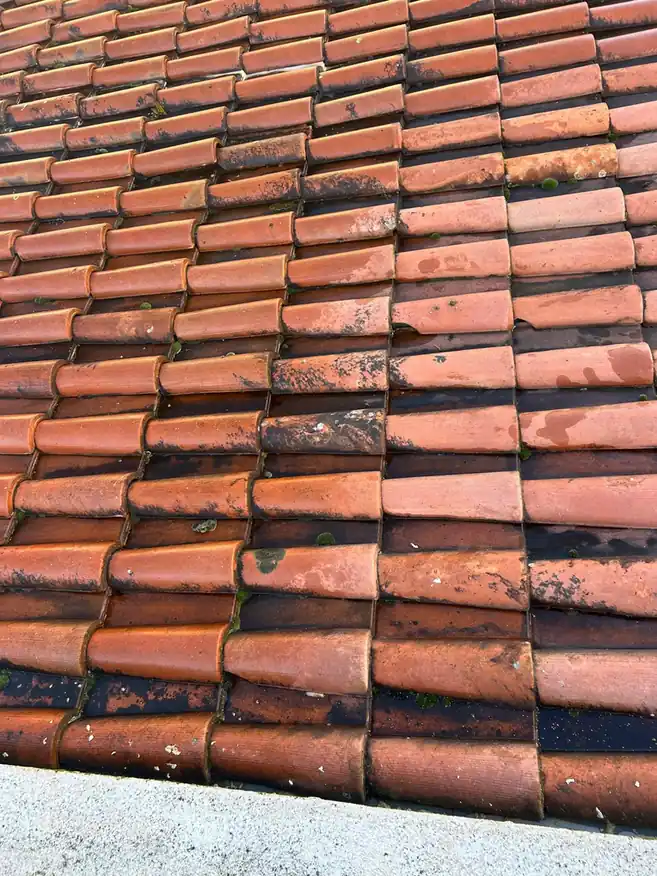 Tuiles anciennes décolorées par endroits sur un même pan