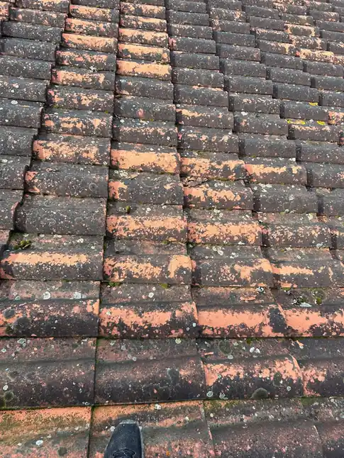 Tuiles anciennes et mousse sur un pan exposé