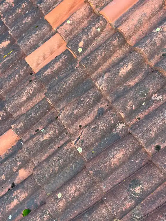 Tuiles canal anciennes vues de dessus, teintes irrégulières