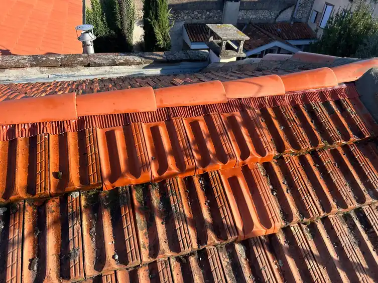 Tuiles canal sous une lumière rasante de fin de journée