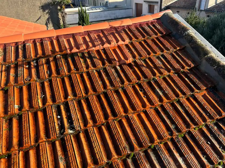 Tuiles canal éclairées par le soleil rasant de fin de journée