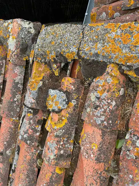 Couverture ancienne densément couverte de lichen